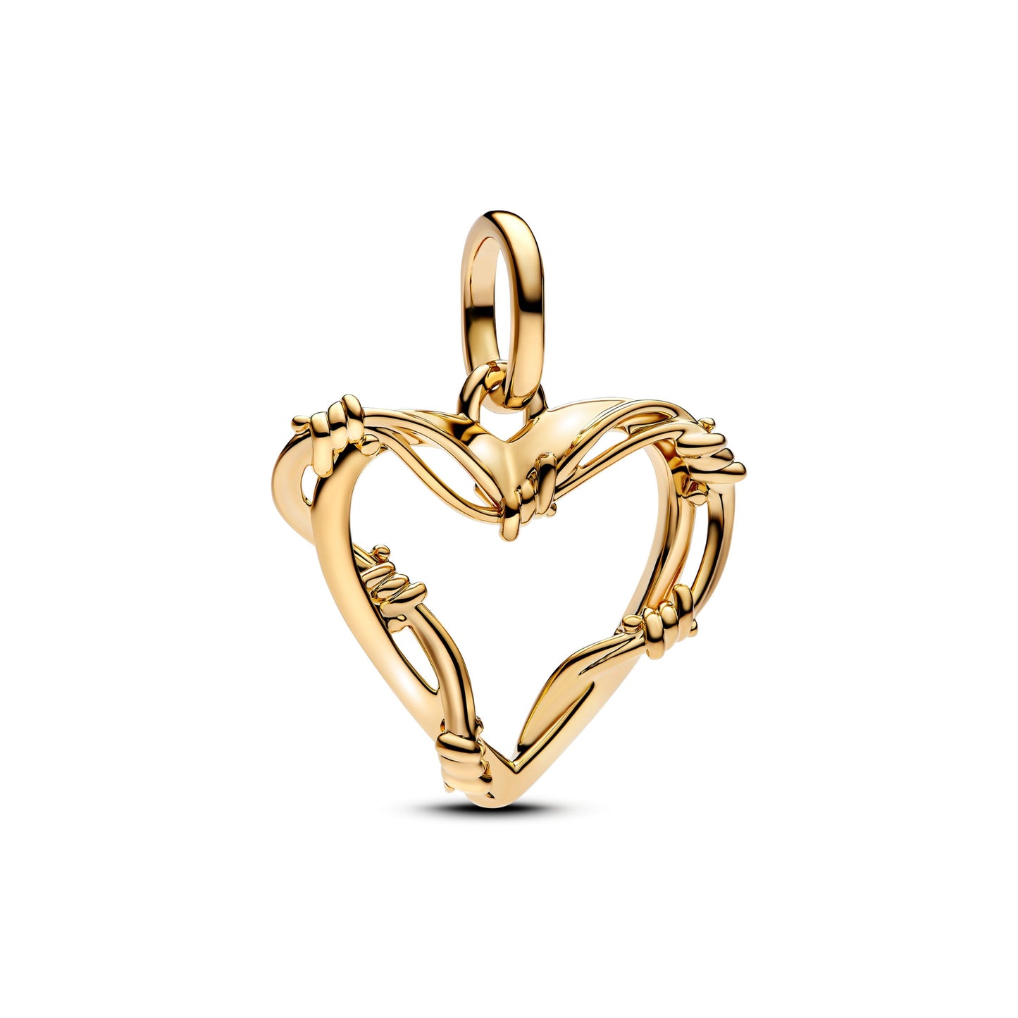 Corazon Con Espinas