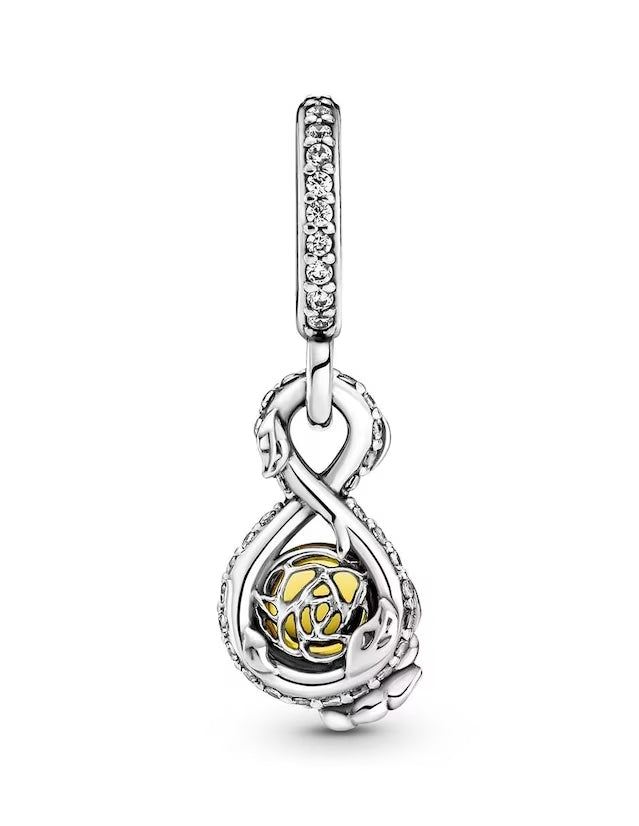 Infinito con Rosa