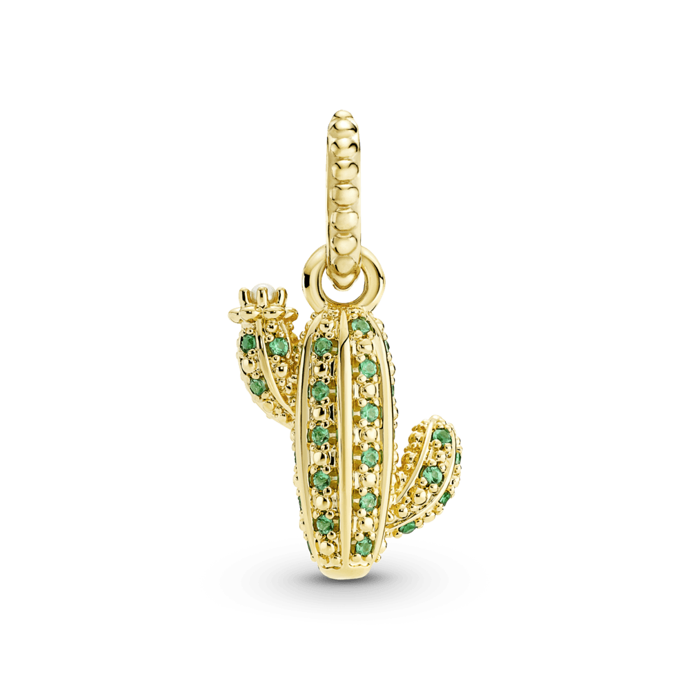 Cactus Dorado