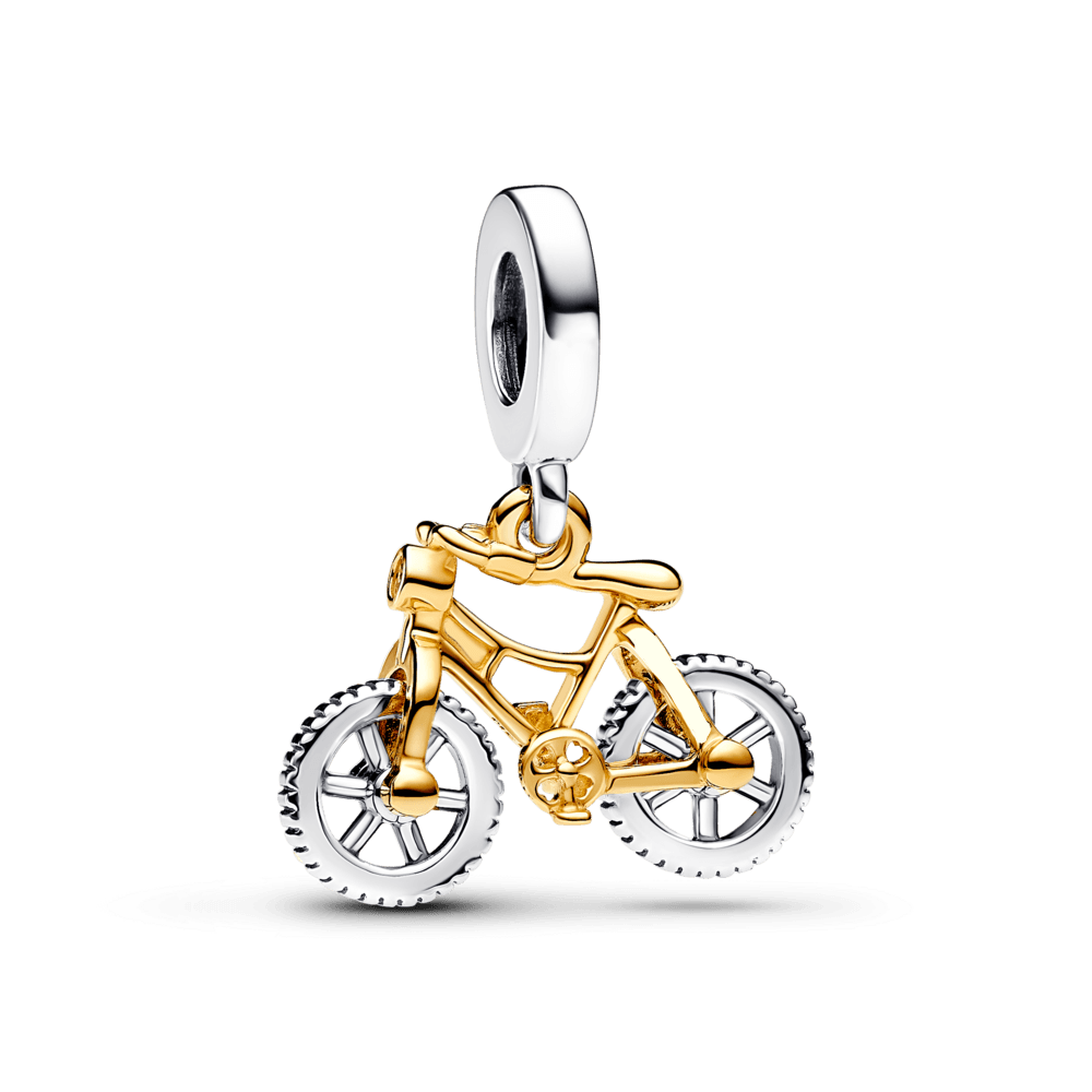 Bicicleta de Aventuras