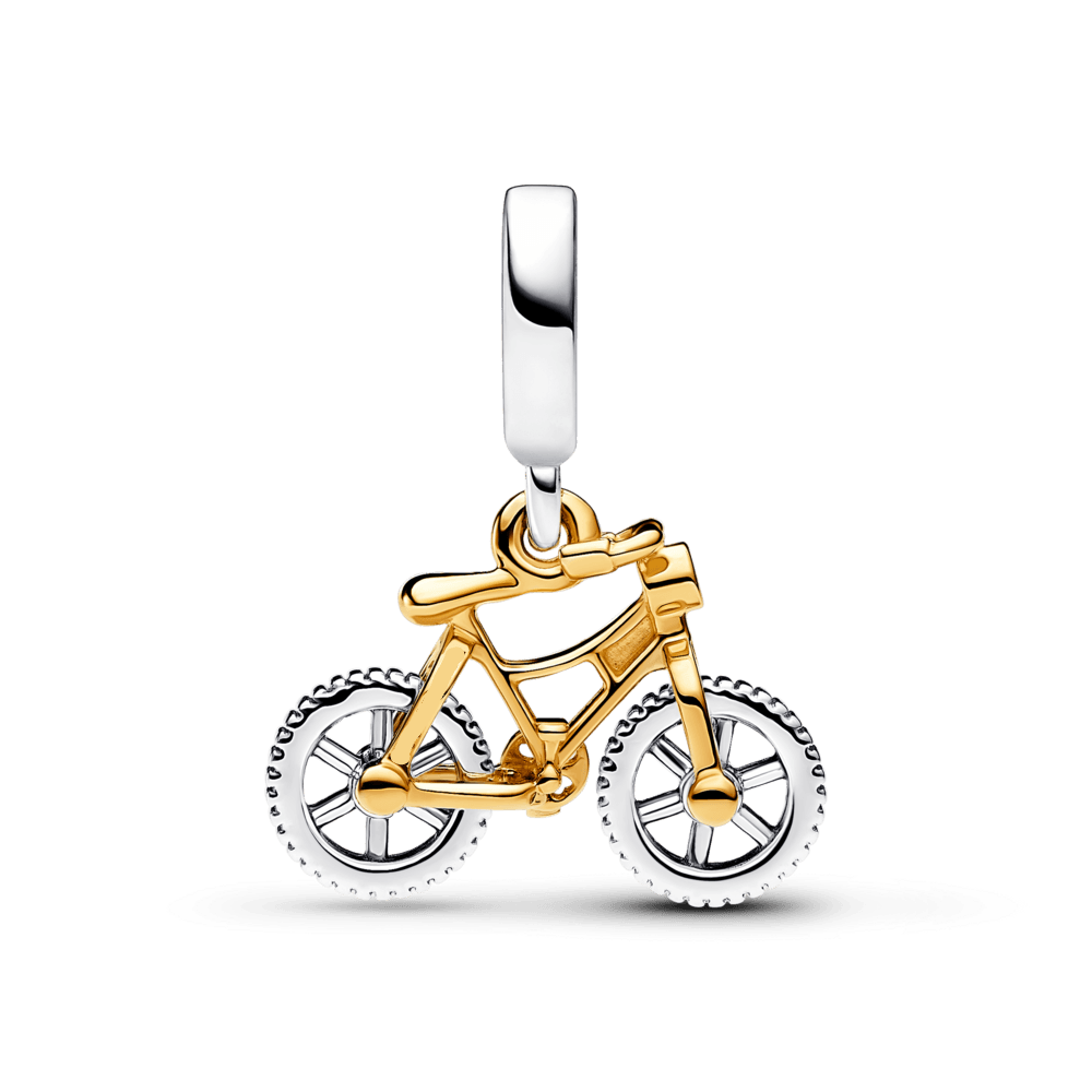 Bicicleta de Aventuras