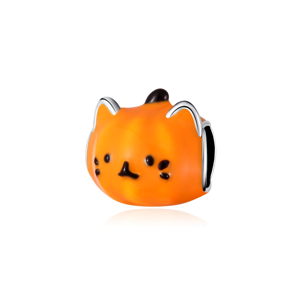 Gatito Calabaza