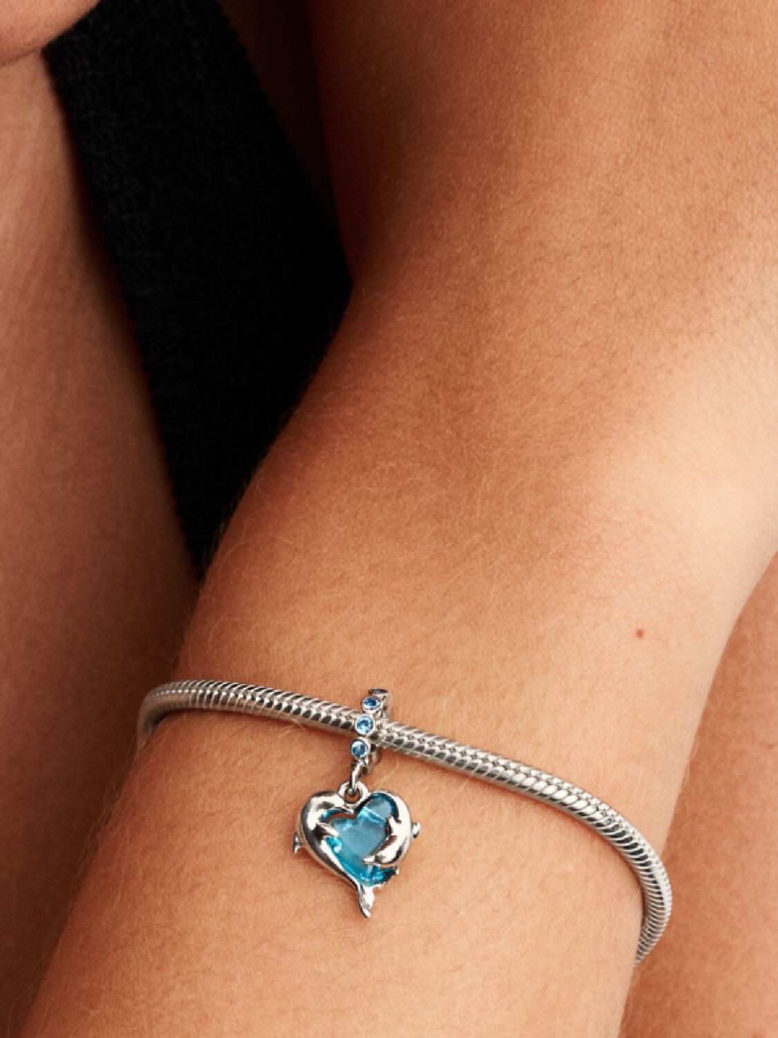 Corazon de Delfines