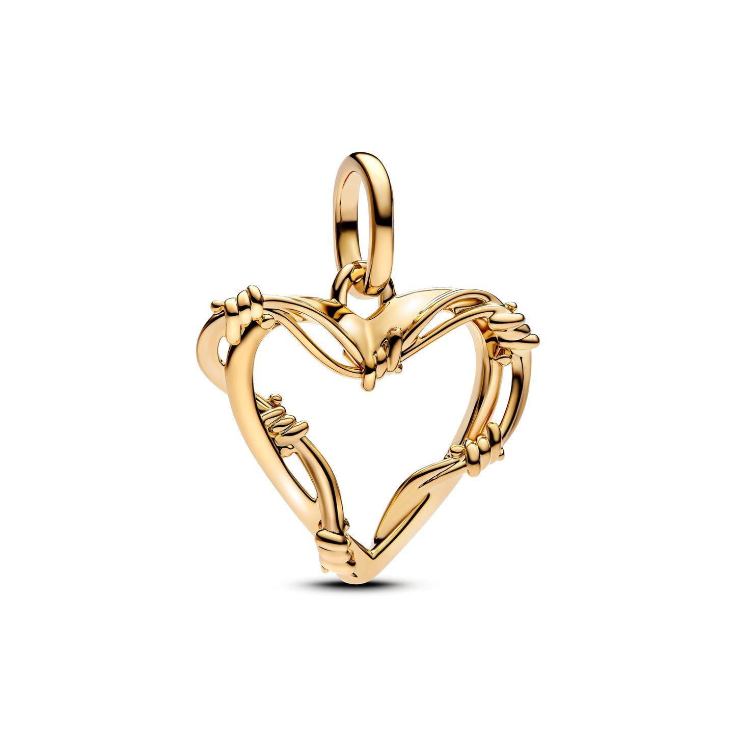Corazon Con Espinas