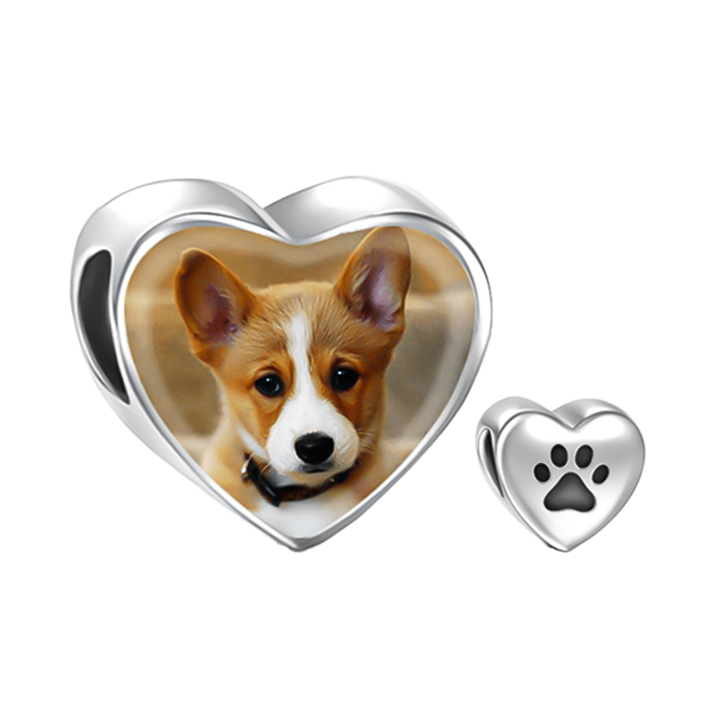 Personalizado Pet